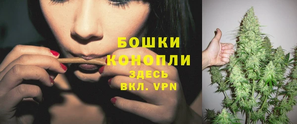 apvp Арсеньев
