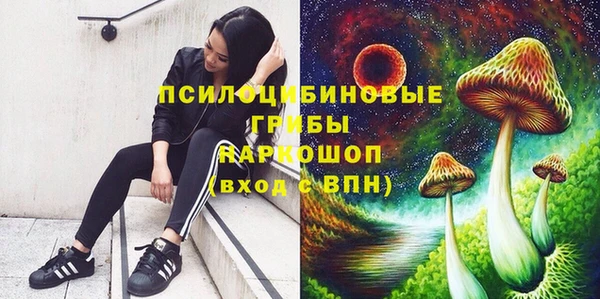apvp Арсеньев