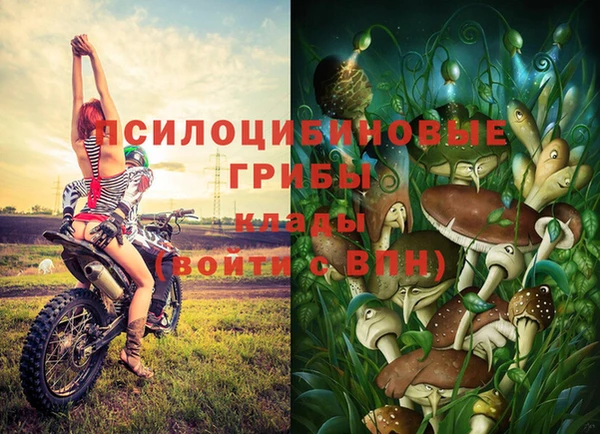 соль курить ск Армянск