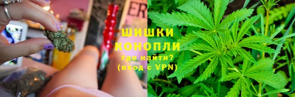 apvp Арсеньев